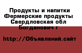 Продукты и напитки Фермерские продукты. Свердловская обл.,Богданович г.